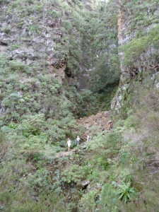 One of the almost vertical ravines the path passes. This one with Canary strawberry trees on the right of it.