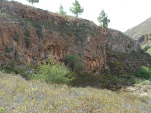 A cliff in the Barranco del Rey near the crossing, showing deformed basaltic columns.