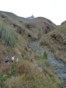Descending into the Barranco del Rey for the second time.