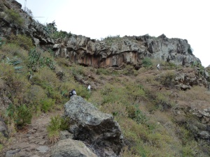 The path out of the Barranco del Rey towards the end of the walk. A large plant of Moralito can be seen under the cliff towards the top.