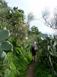 The narrow footpath initially passes through prickly pears and brambles, but with great views