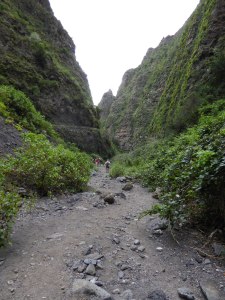 Looking up the barranco as it narrows. 